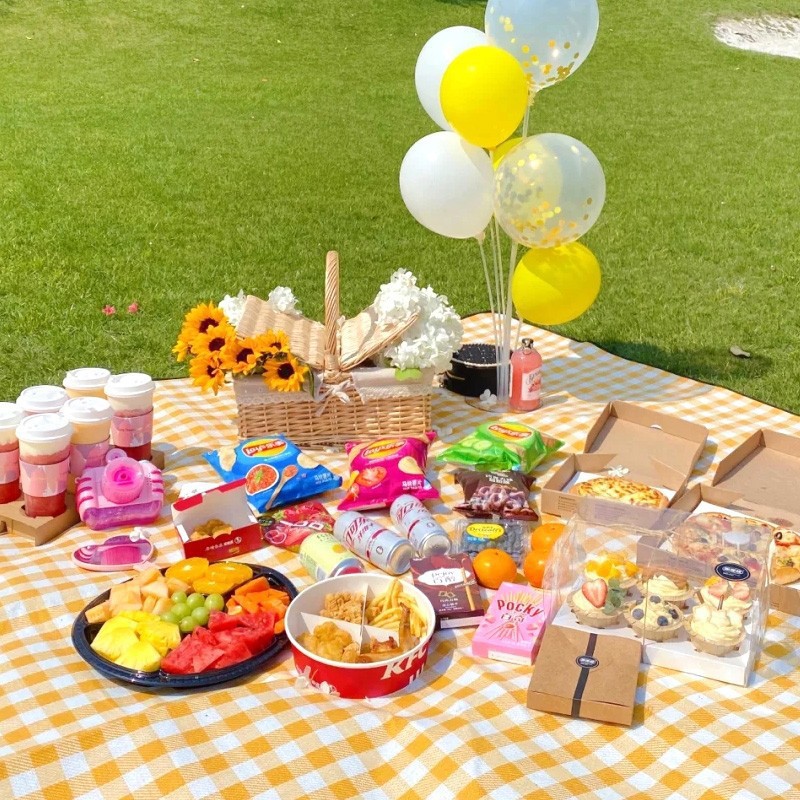 200x200cm Extra Large Picnic M - Outdoor Camping Mat Waterproof 评论和价格