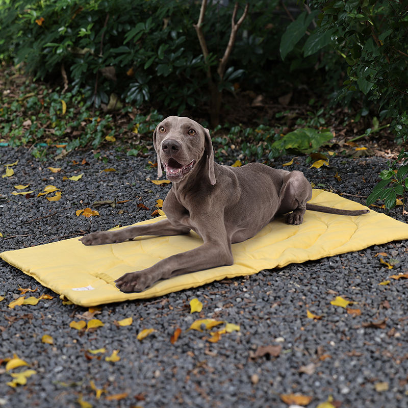 Portable Pet Mat Foldable Pet  - Outdoor Camping Mat Waterproof 评论和价格