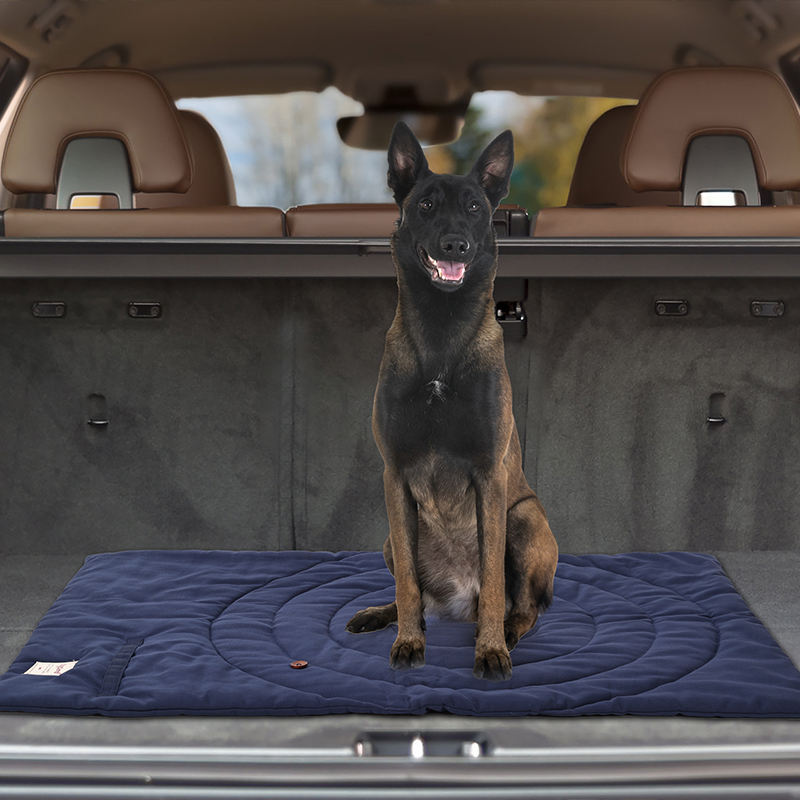 Portable Pet Mat Foldable Pet  - Outdoor Camping Mat Waterproof 评论和价格