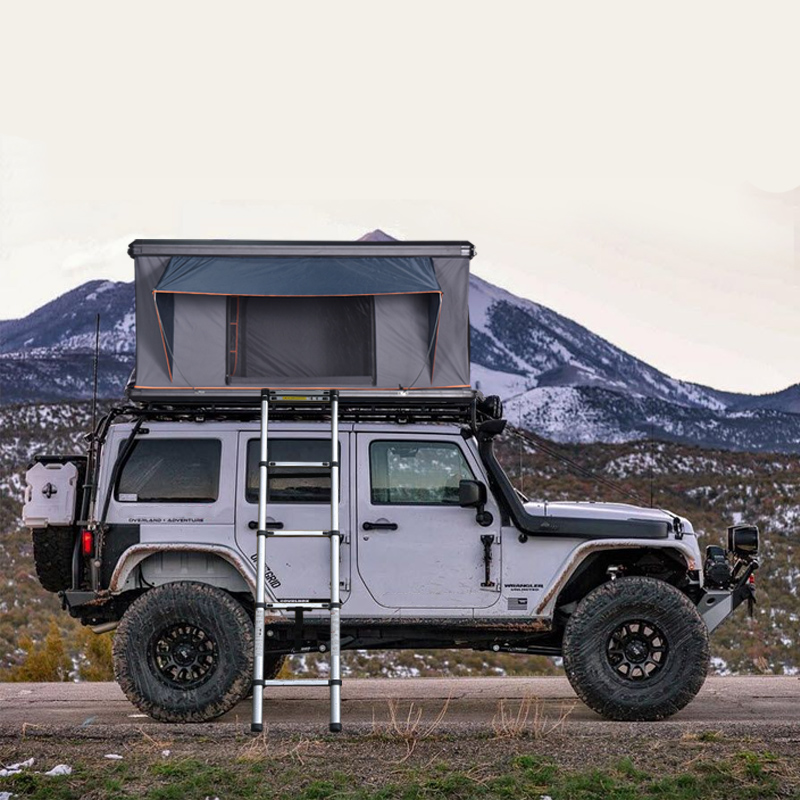 Outdoor Aluminum Alloy Shell R - Outdoor Camping Car Tent 评论和价格